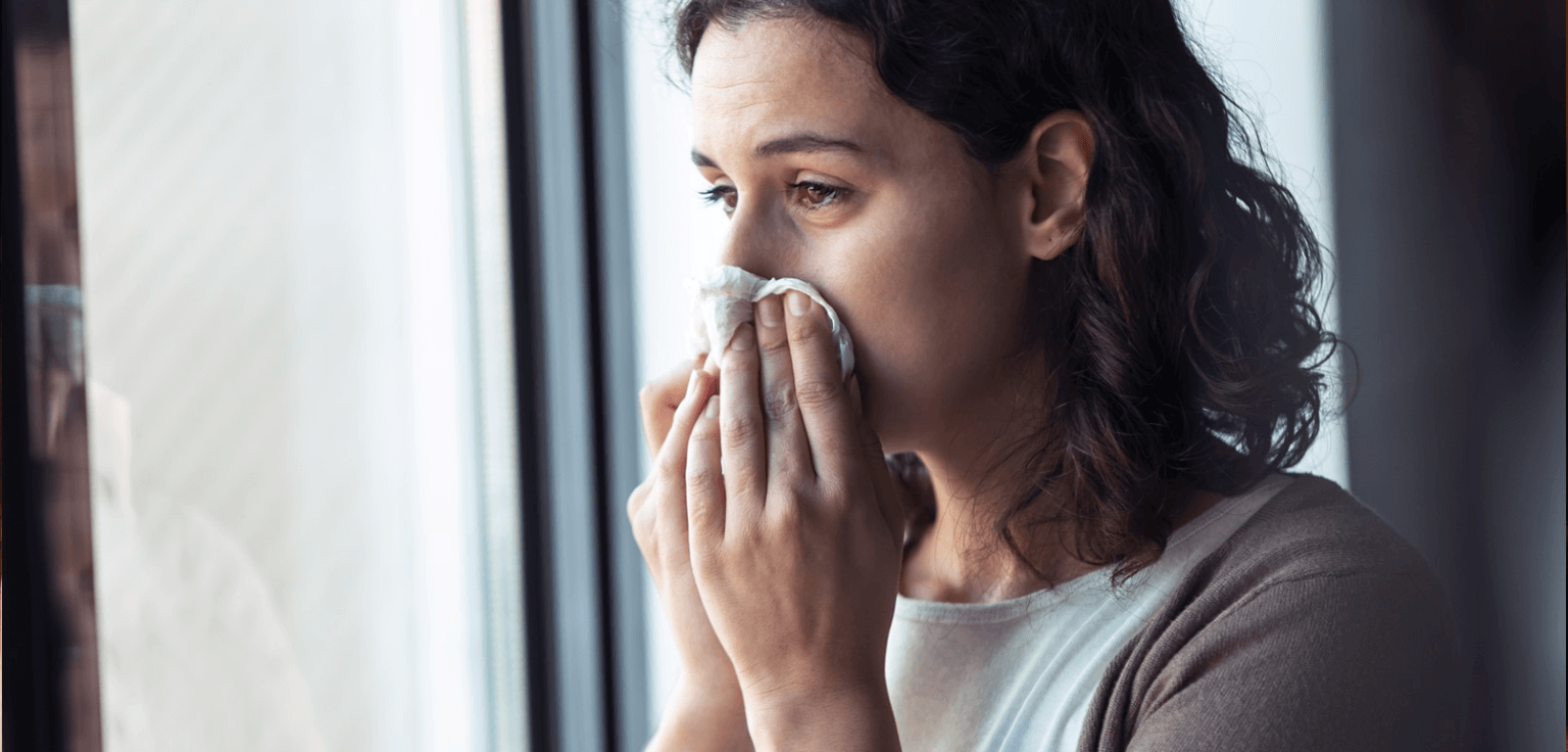 schimmmelandfenster Schimmel am Fenster – wie geht man damit um?