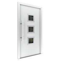 Kunststofftüren BL-25(3)